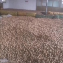 干核桃
