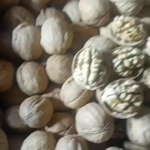 精品185纸皮核桃