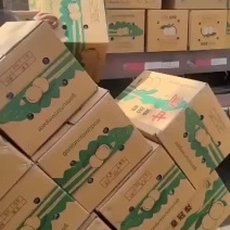 河北皇冠梨精品皇冠梨电商市场商超货免费看货