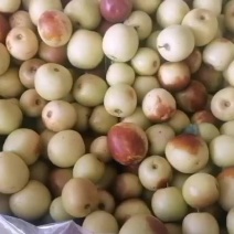冬枣