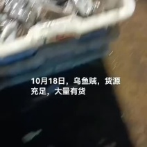 乌鱼贼