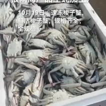 梭子蟹