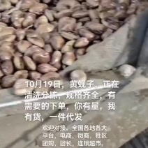 黄蚬子，和黄蚬子肉