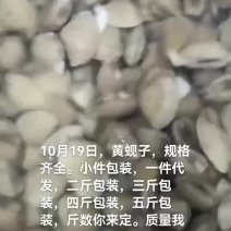 黄蚬子，和。黄蚬子肉