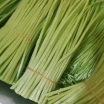 大量芦蒿