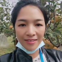 丽江木梨