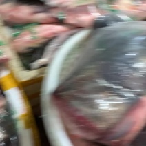 千岛湖有机鱼头