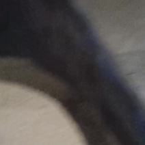 稻谷
