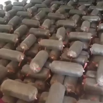 常年出售平菇榆黄蘑出菇菌包