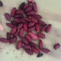 黑花生果批发无中间商，一手货源