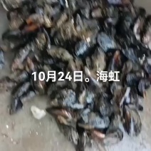 海虹