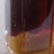 蜂蛹