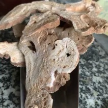 白术二年生好货，无硫无碎片大货低价出售中药材批发