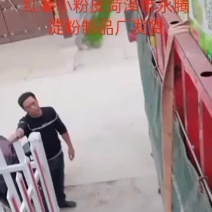 菏泽市永腾淀红薯小粉皮厂家直销质量好口感软滑有劲道