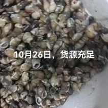 小海螺