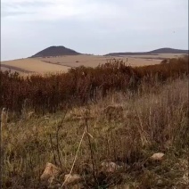 农田出租带差价补种植者补贴和轮作补贴8500-11000