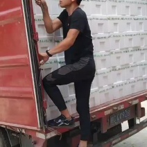精品水果黄瓜，
