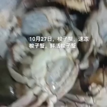 梭子蟹