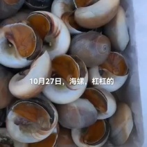 香螺