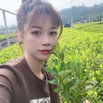 杜鹃