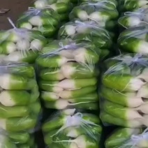 精品萝卜
