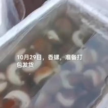 香螺