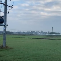 草坪：台湾2号、百慕大、混播草