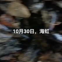 海虹