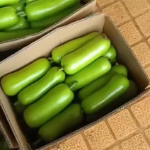 瓠瓜精品大量上市量大从优全国发货诚信经营
