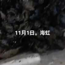 海虹