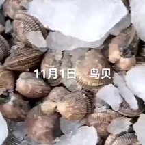 鸟贝
