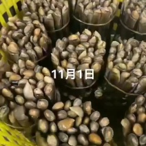竹签子