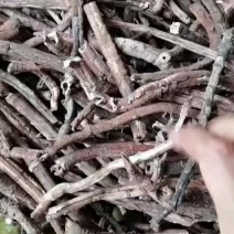 牡丹皮