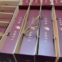 23年新炒高山老树香榧/礼盒团购/5盒1箱装/年货礼品