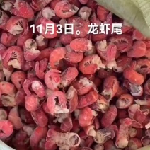 龙虾尾