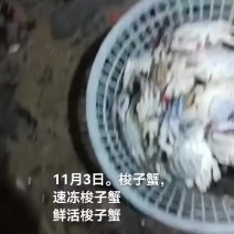 梭子蟹