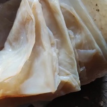 自己加工海蜇皮，颜色白，片大皮薄，板质好，杠杠脆
