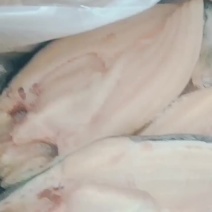 开背巴沙鱼