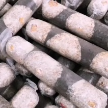 香菇菌棒