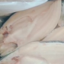 开背巴沙鱼