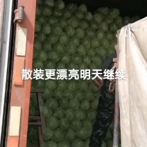 圆白菜