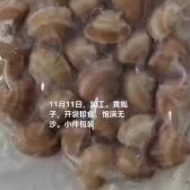 黄蚬子。即食