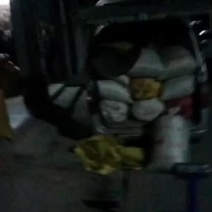 油茶籽小圆籽出货了