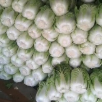 白菜
