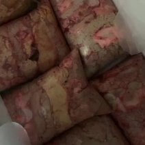 鱼籽新鲜鲤鱼籽现杀现卖