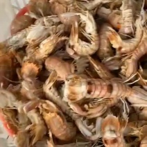 批发皮皮虾，全城共享