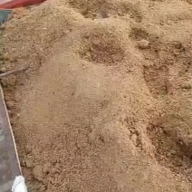 金针菇菌料