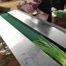 包装袋韭菜