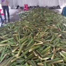 诚信第一。有想要的朋友可以随时咨询。