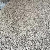 苍耳净货